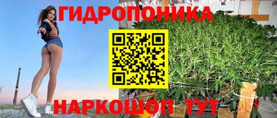 сатива Кулебаки